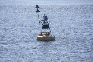 乐鱼体育APP官方下载-中方蝶泳入水角度更锐利？图解数据分析，中国蝶泳厉害吗