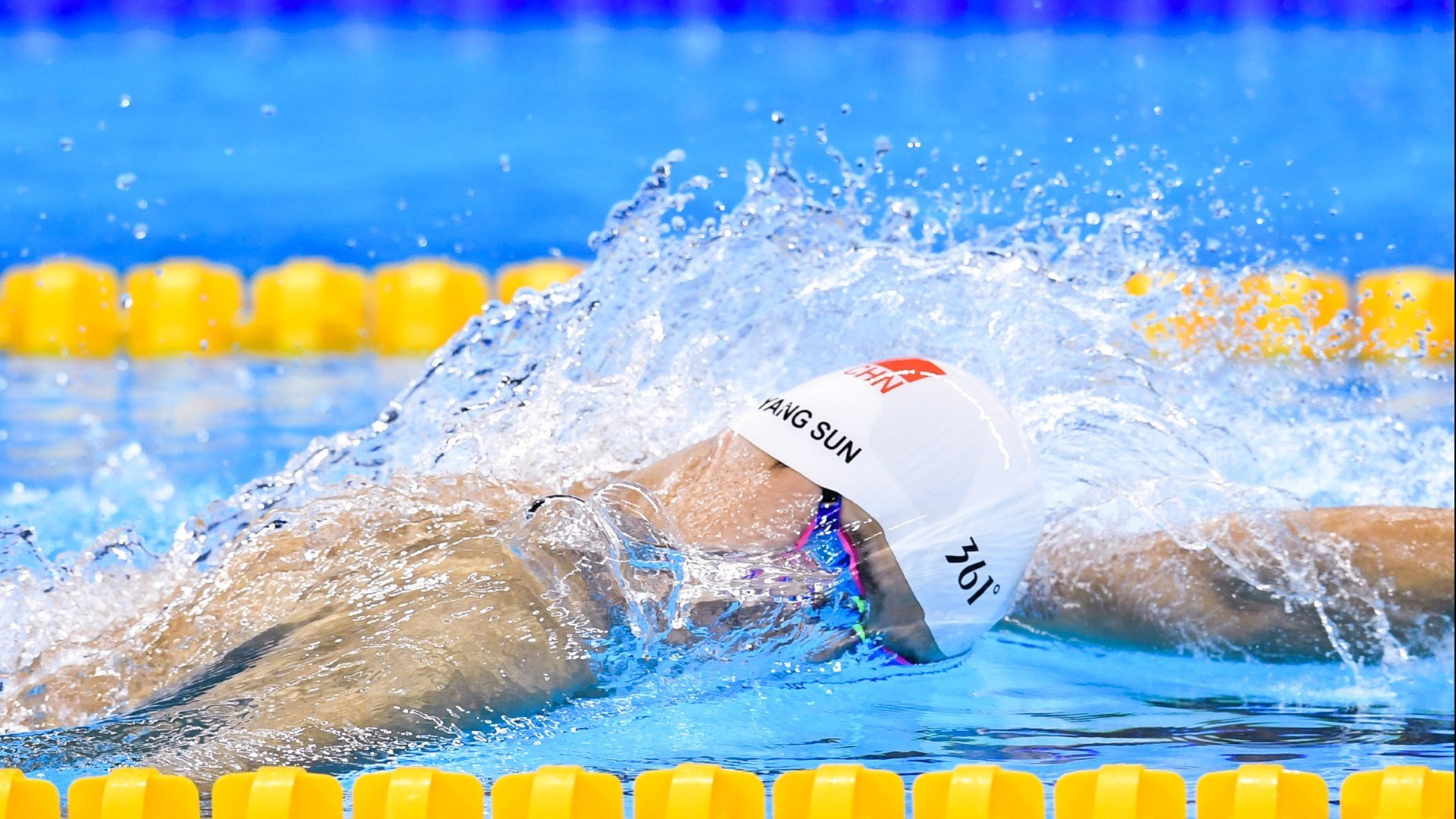 四国蝶泳划频对比揭示节奏差异，蝶泳四部分