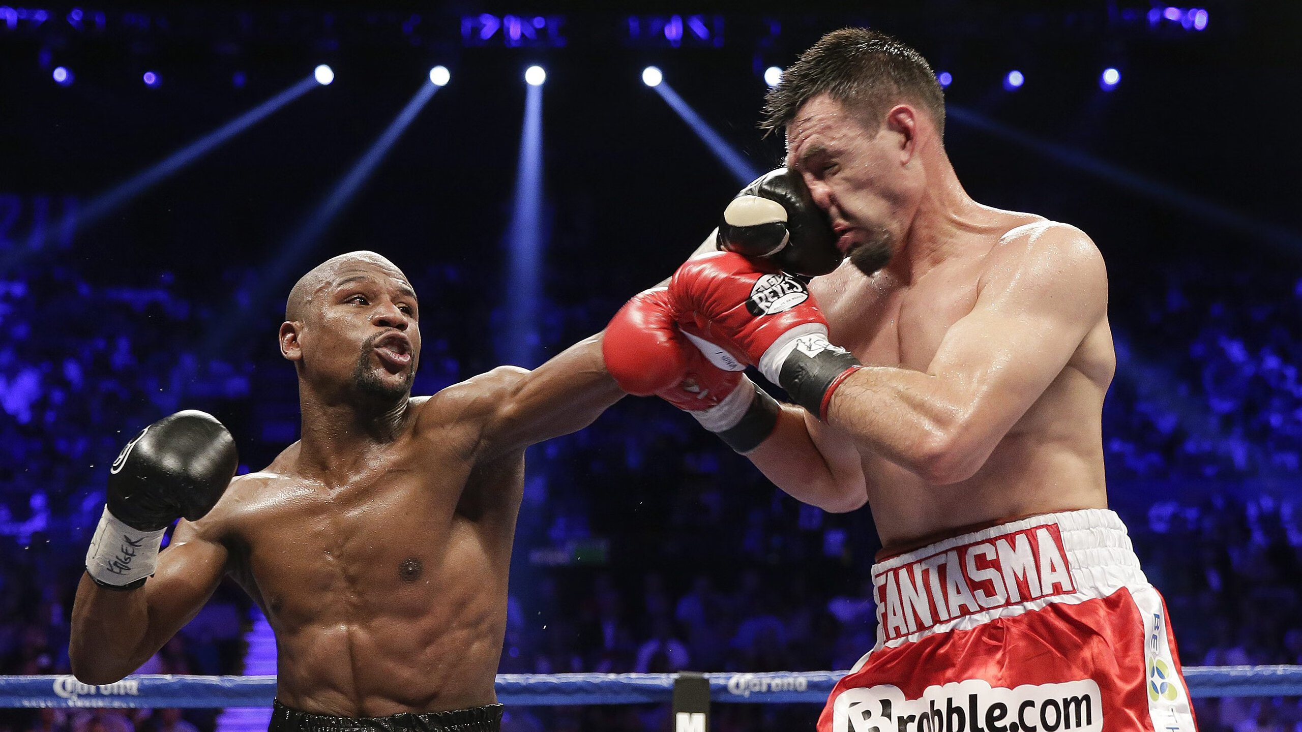 裁判交流平台上线促进地区规则统一，裁判流程信息网